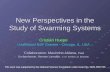 New Perspectives in the Study of Swarming Systems