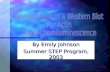 By Emily Johnson Summer STEP Program, 2003