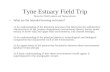 Tyne Estuary Field Trip Notes for Field Leaders and Demonstrators