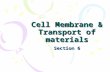 Cell Membrane & Transport of materials
