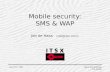 Mobile security: SMS & WAP