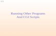 Running Other Programs And CGI Scripts