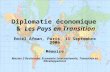 Diplomatie économique  &  Les Pays en Transition