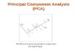 Principal Component Analysis (PCA)