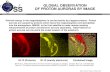 GLOBAL OBSERVATION  OF PROTON AURORAS BY IMAGE