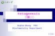 K etogenesis 酮体代谢