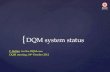 DQM system status