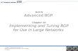Unit 9 Advanced BGP Chapter 16 Implementing and Tuning BGP for Use in Large Networks