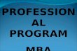 PROFESSIONAL PROGRAM MBA