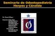 Seminario de  Odontopediatría Herpes y Cándida