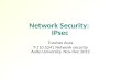 Network Security:  IPsec