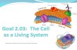 Goal 2.03:  The Cell as a Living System