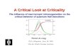 A Critical Look at Criticality