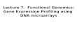 Lecture 7.  Functional Genomics: Gene Expression Profiling using  DNA microarrays