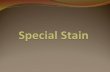 Special Stain