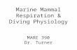 Marine Mammal Respiration & Diving Physiology MARE 390 Dr. Turner