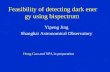 Feasibility of detecting dark energy using bispectrum