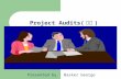 Project Audits( 审计 )