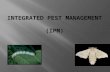 Integrated Pest Management  (IPM)