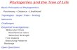 Phylogenies and the Tree of Life