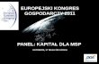 EUROPEJSKI KONGRES GOSPODARCZY 2011 PANEL: KAPITAŁ DLA MSP  KATOWICE, 17 MAJA 2011 ROKU