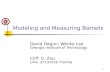Modeling and Measuring Botnets