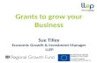 Grants to  g row your  B usiness Sue Tilley Economic Growth & Investment Manager  LLEP