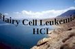 Hairy Cell Leukemia    HCL