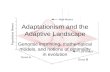 Adaptationism and the Adaptive Landscape