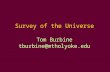 Survey of the Universe Tom Burbine tburbine@mtholyoke