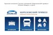 Краткое описание Группы компаний «Березовский привоз» Бизнес-Модель и Цели