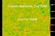 Cosmic Baryons: The IGM