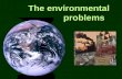 The environmental             problems