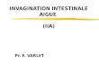 INVAGINATION INTESTINALE AIGUE  (IIA)