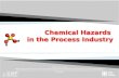 Chemical Hazards  in the Process Industry