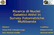 Ricerca di Nuclei  Galattici Attivi in Survey Fotometriche Multibanda