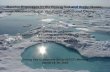 Benthic Processes in the Bering Sea and Arctic Ocean:
