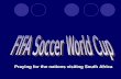 FIFA Soccer World Cup