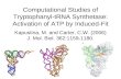 Computational Studies of Tryptophanyl-tRNA Synthetase: Activation of ATP by Induced-Fit
