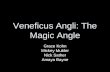 Veneficus Angli: The Magic Angle