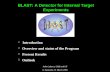 BLAST: A Detector for Internal Target Experiments