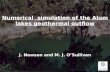 Numerical   simulation of  the Alum lakes  geothermal outflow