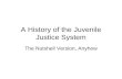 A History of the Juvenile Justice System
