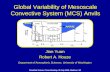 Global Variability of Mesoscale Convective System (MCS) Anvils