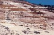 The Palaeozoic The Palaeozoic outcrops of southwestern  Sinai