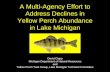 A Multi-Agency Effort to Address Declines in Yellow Perch Abundance in Lake Michigan