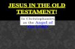 Jesus In The Old Testament !