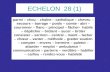 ECHELON  28 (1)