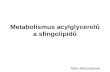 Metabolismus acylglycerolů a sfingolipidů