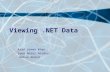 Viewing .NET Data